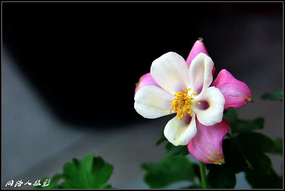 DSC_9759_调整大小.JPG