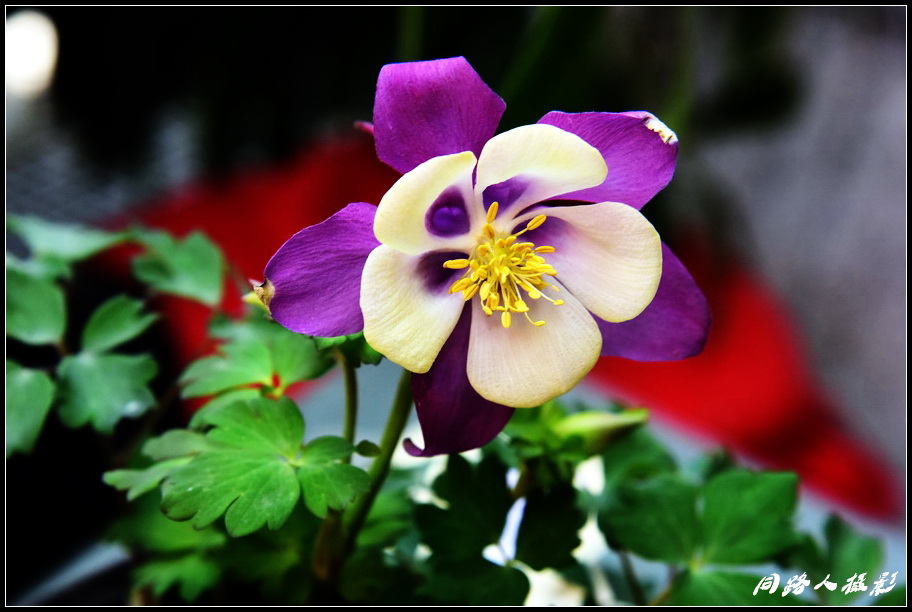 DSC_9756_调整大小.JPG