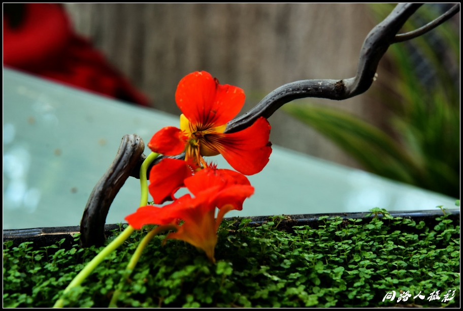 DSC_9755_调整大小.JPG