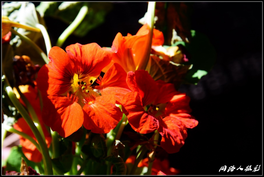 DSC_9764_调整大小.JPG