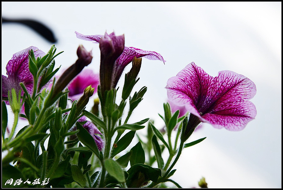 DSC_9773_调整大小.JPG