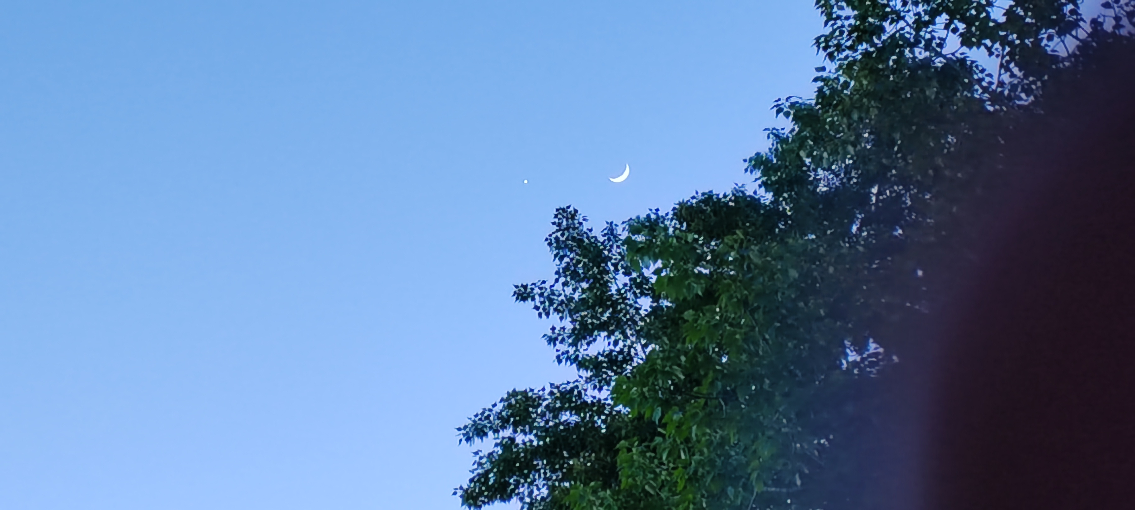 IMG_20230523_192313.jpg