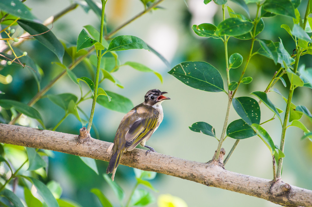 _DSC0074-2-1_副本.jpg