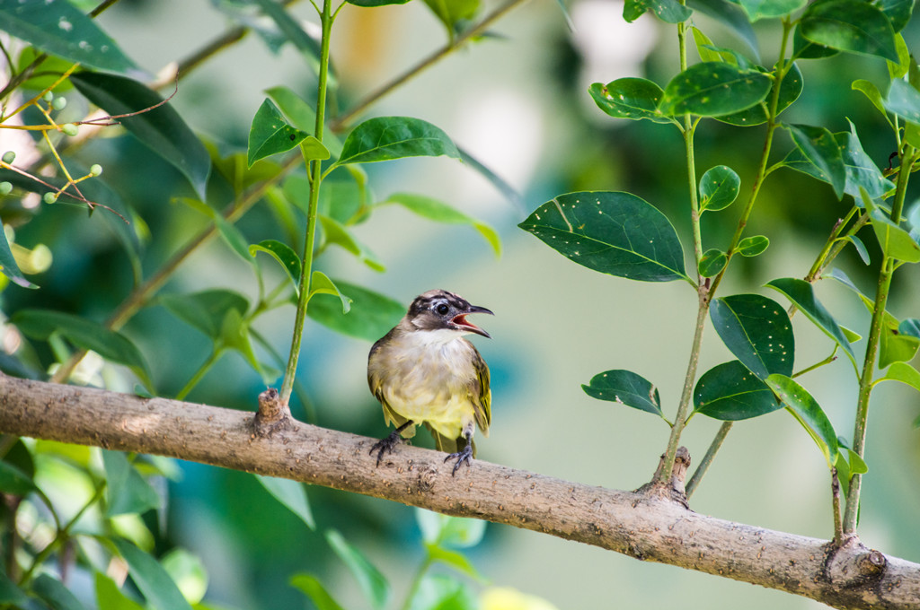 _DSC0084-2-1_副本.jpg