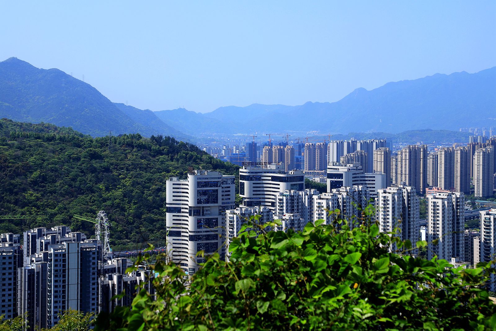 IMG_7560_副本.jpg