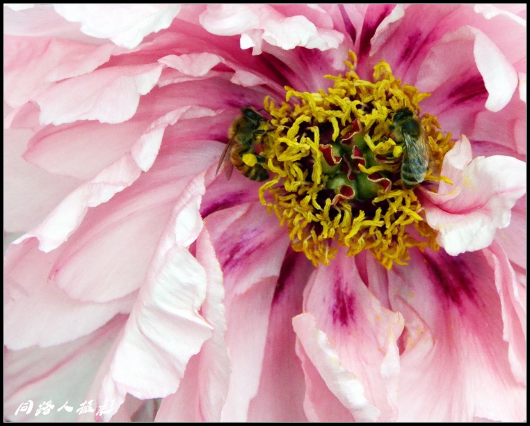 DSC_3738_调整大小.JPG