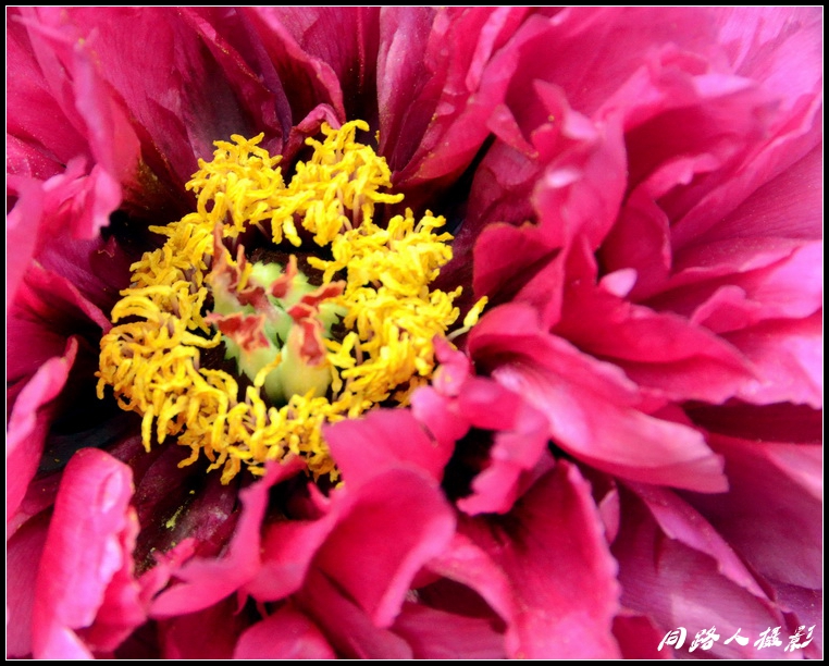 DSC_3697_调整大小.JPG