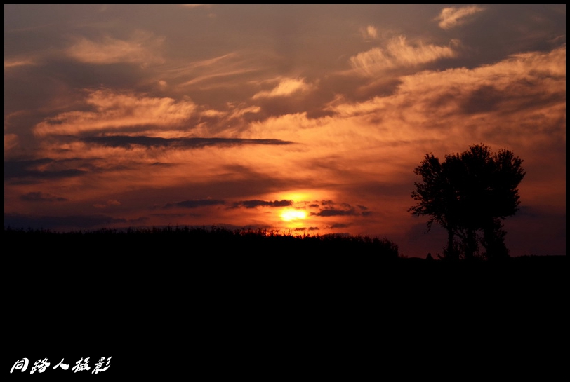 DSC_5952-0_调整大小.jpg