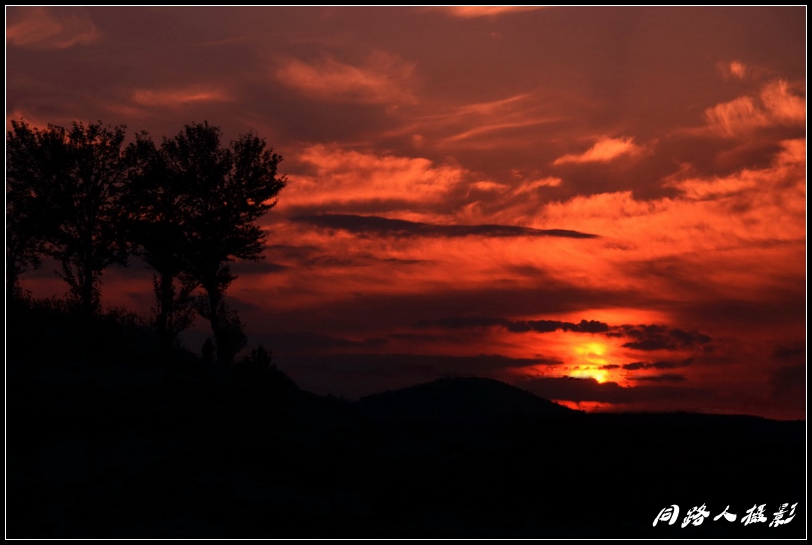 DSC_5951-0_调整大小.jpg