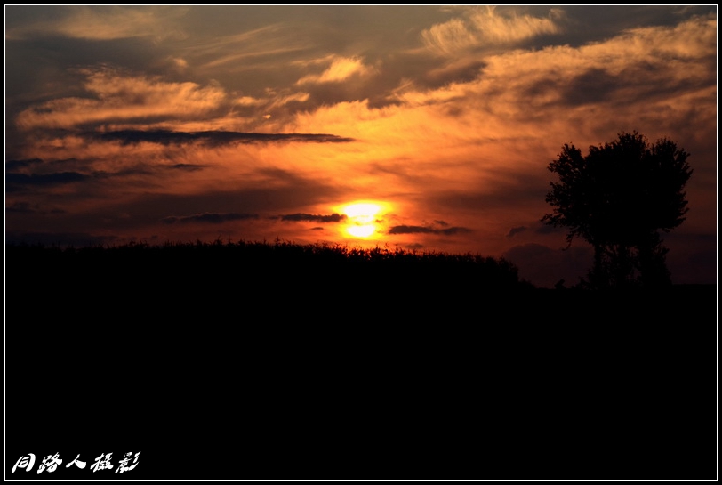 DSC_5960-0_2_调整大小.jpg
