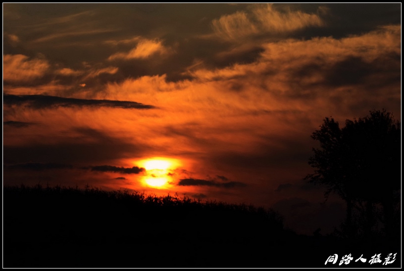 DSC_5960-0_调整大小.jpg