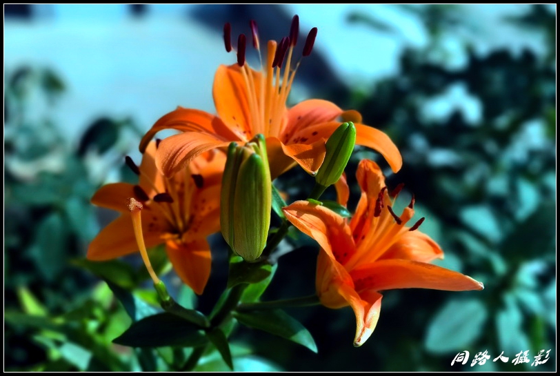 IMG_20230618_082231_调整大小.jpg