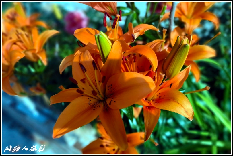 IMG_20230618_082519_调整大小.jpg