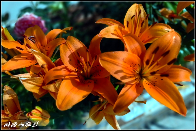 IMG_20230618_082531_调整大小.jpg