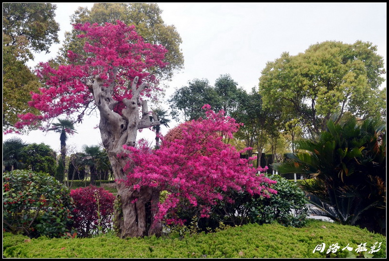 DSC_3770_调整大小_调整大小.JPG