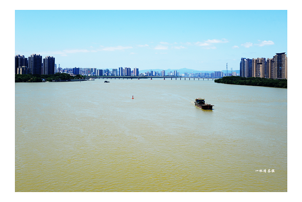 DSC_5595A.jpg