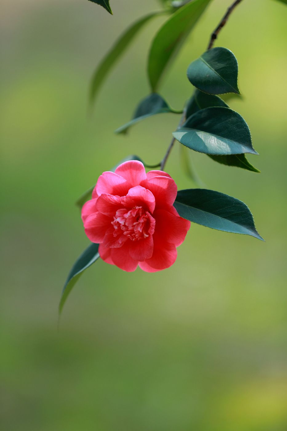 IMG_3857_副本_副本.jpg