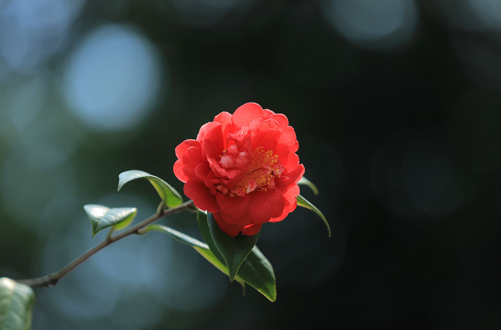 IMG_4052_副本.jpg