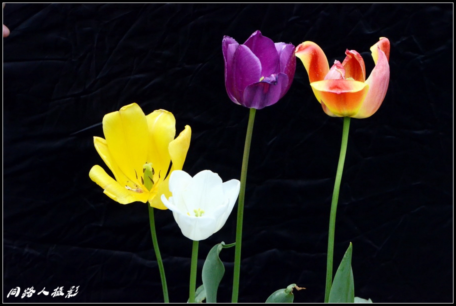 DSC_3660_调整大小.JPG