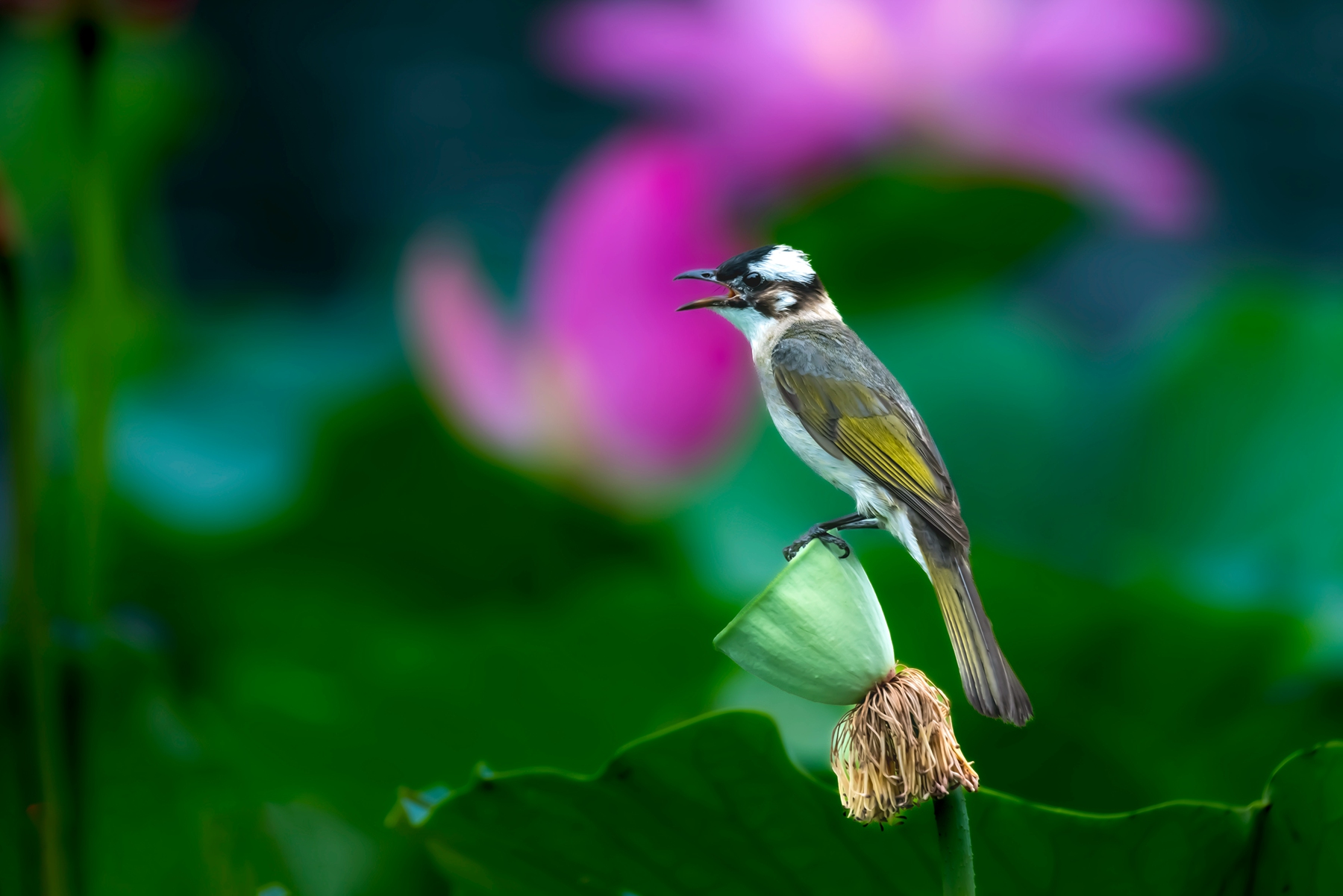 _DSC7037_副本.jpg