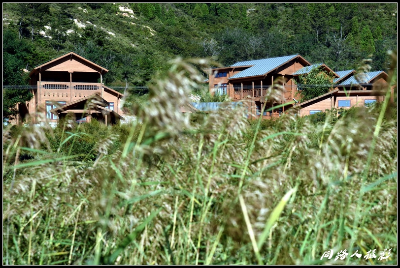 DSC_2955_调整大小.JPG