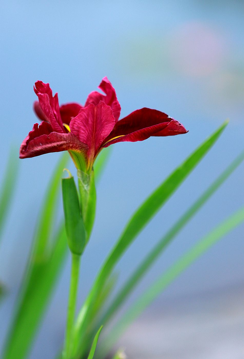 IMG_8744_副本.jpg