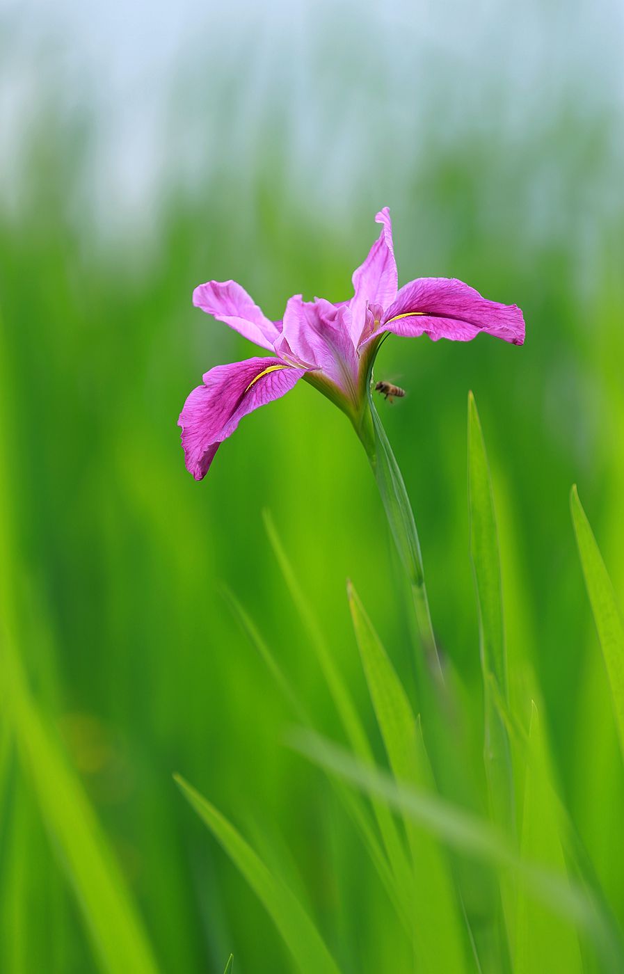 IMG_9430_副本.jpg