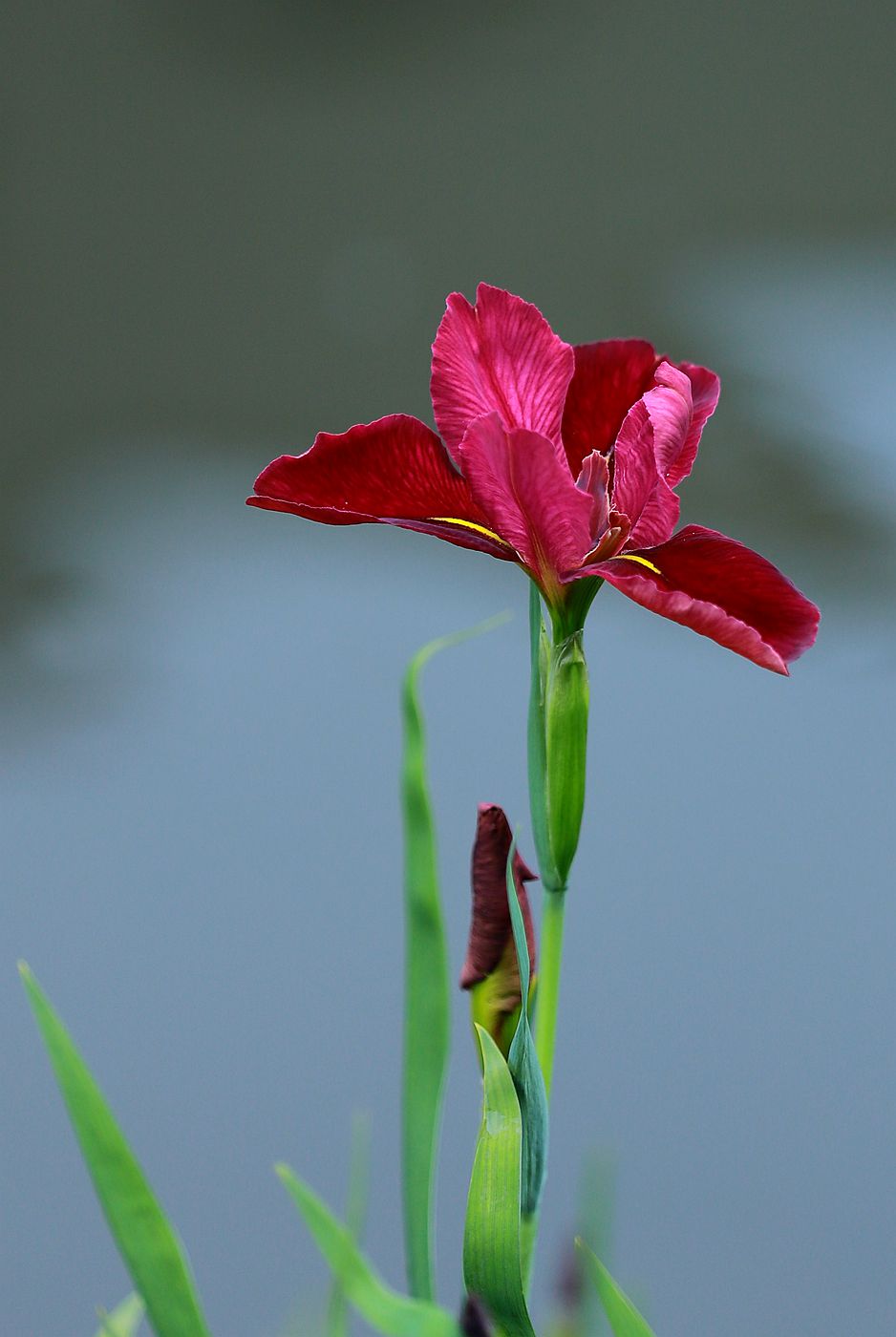 IMG_9360_副本.jpg