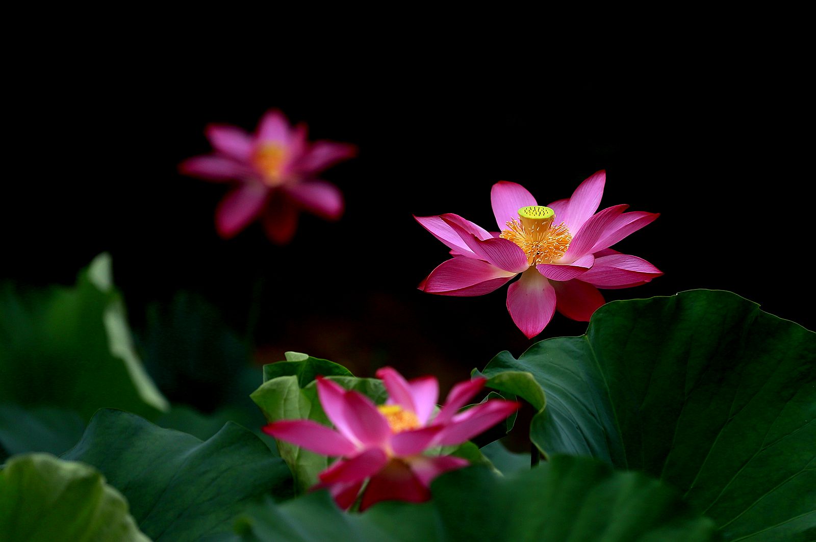 _MG_2686_副本.jpg