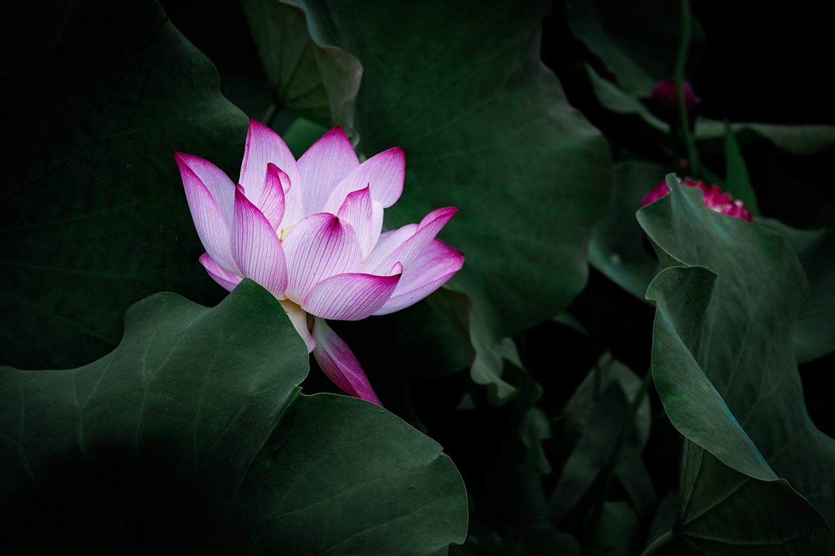 DSC02235-0_副本.jpg