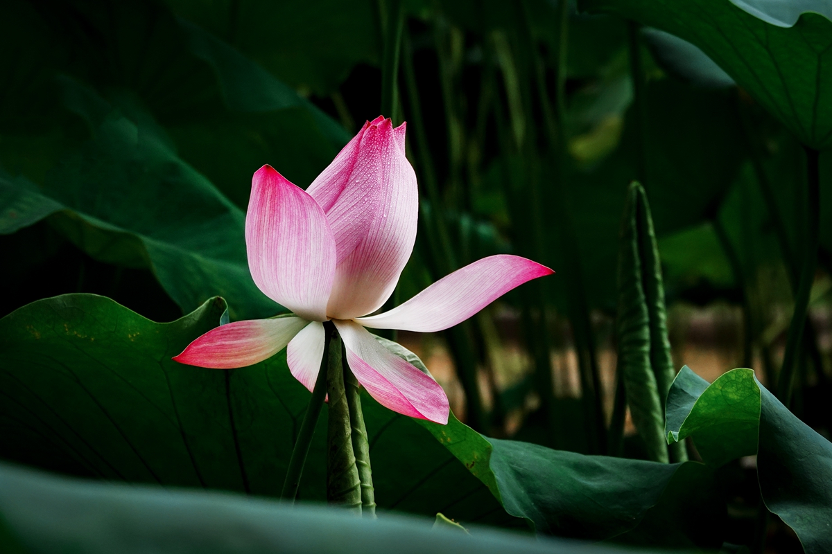 DSC02403-0_副本.jpg
