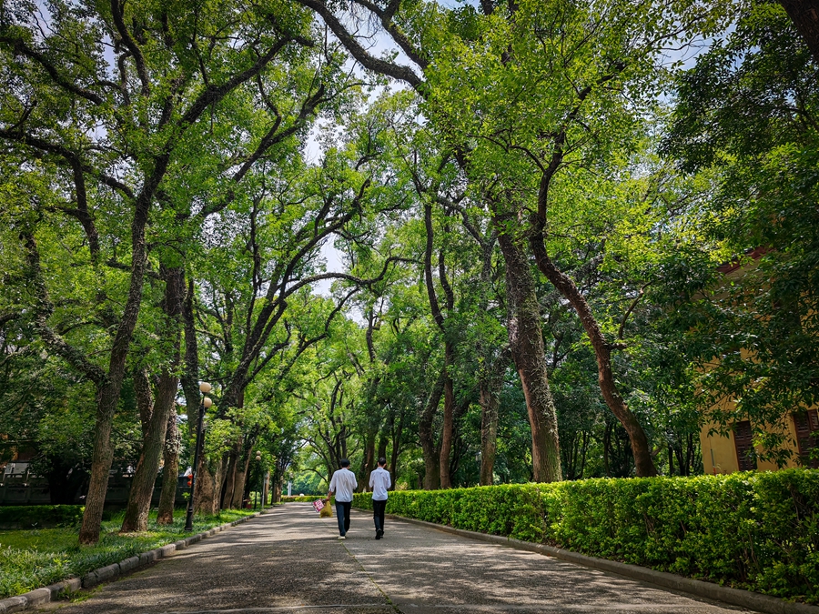 IMG_133956-0_副本.jpg