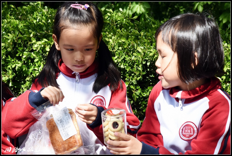 DSC_0784_调整大小.JPG