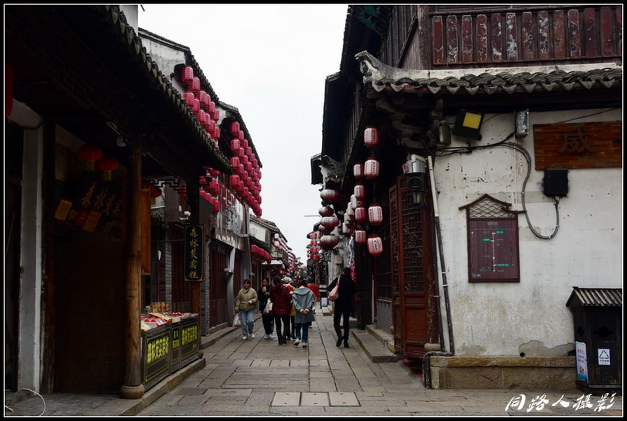 DSC_3590_调整大小_调整大小.JPG