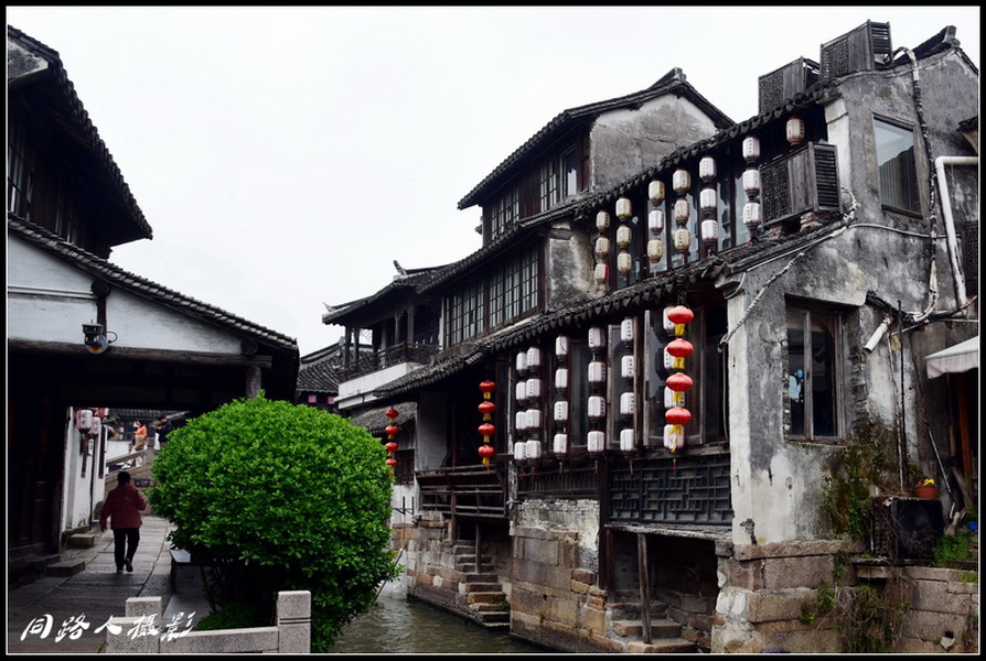 DSC_3579_调整大小_调整大小.JPG