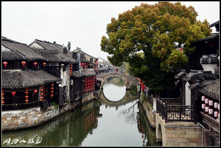 DSC_3603_调整大小_调整大小.JPG