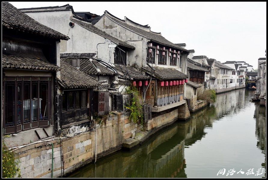 DSC_3604_调整大小_调整大小.JPG
