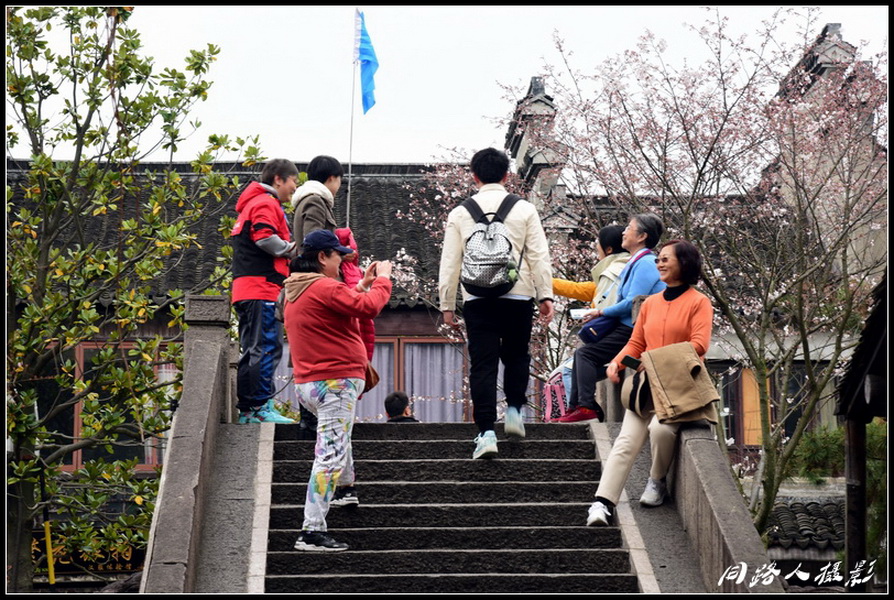 DSC_3595_调整大小_调整大小.JPG