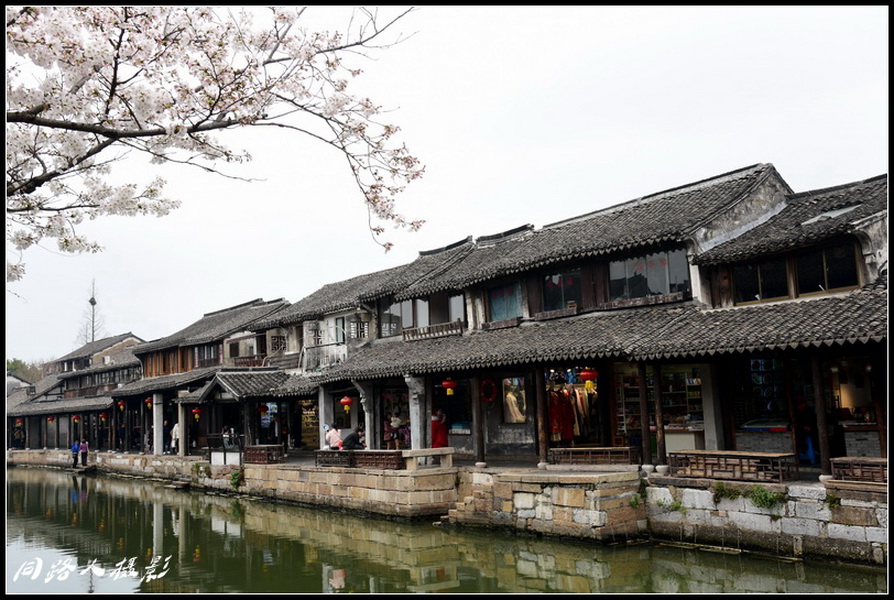 DSC_3607_调整大小_调整大小.JPG