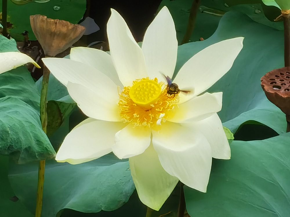 IMG_20230814_094138_副本.jpg