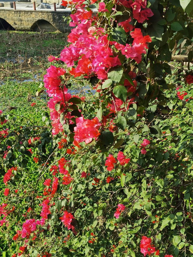 IMG_20231209_093525_副本_副本.jpg