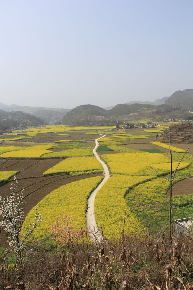 IMG_4782_副本.jpg
