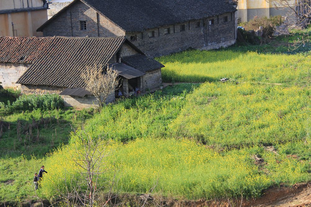 IMG_4862_副本.jpg
