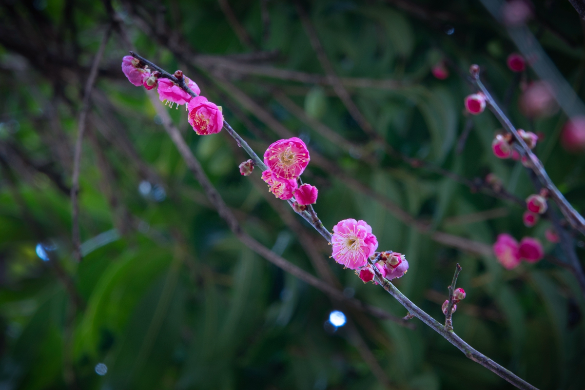 DSC04715-0 - 副本.jpg