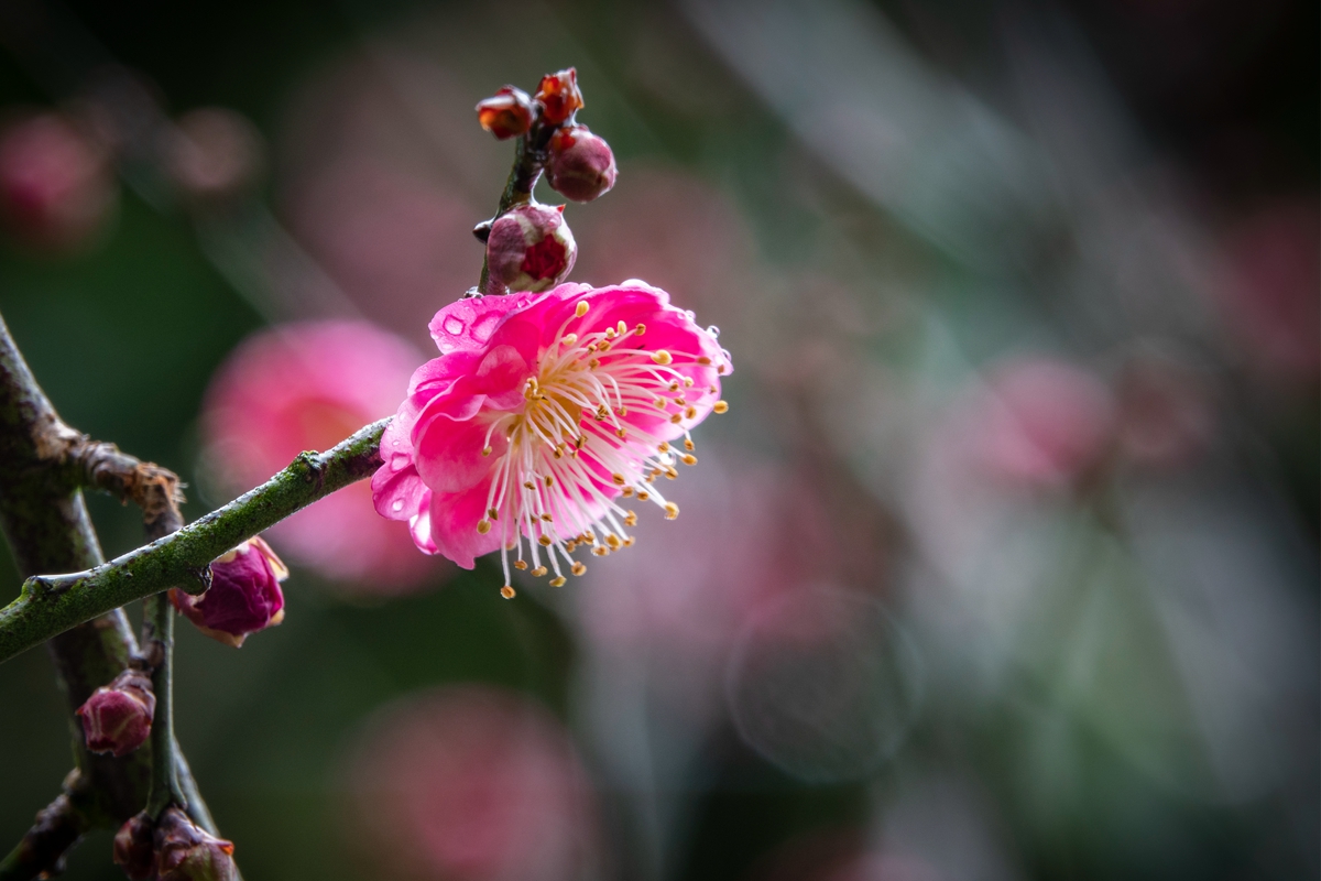 DSC04720-0 - 副本.jpg