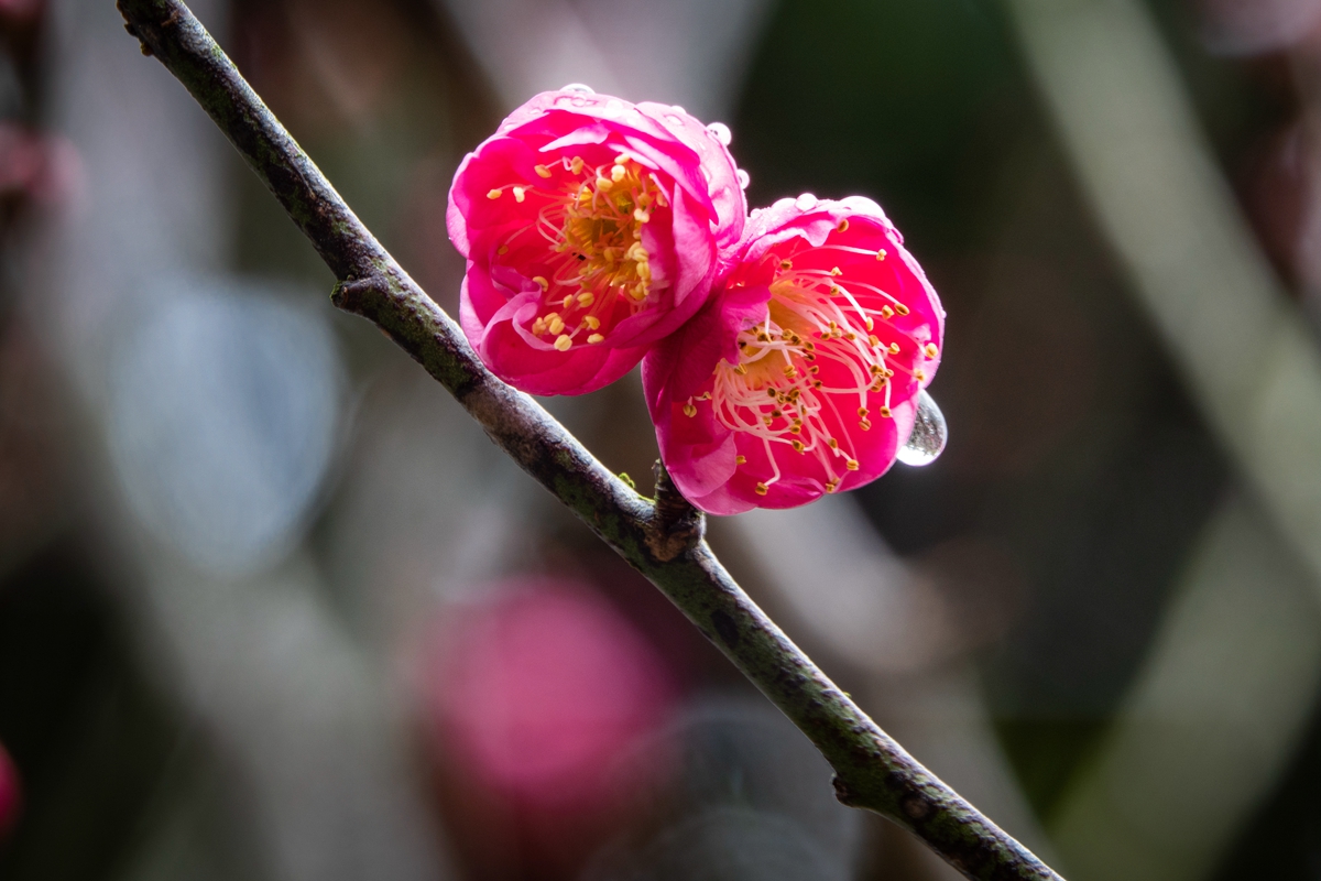 DSC04724-0 - 副本.jpg