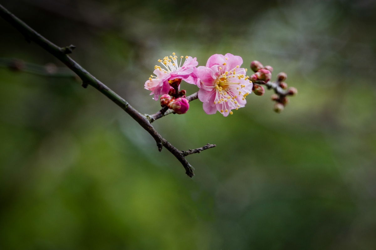 DSC04733-0 - 副本.jpg
