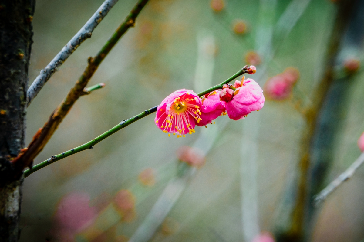 DSC04746-0 - 副本.jpg