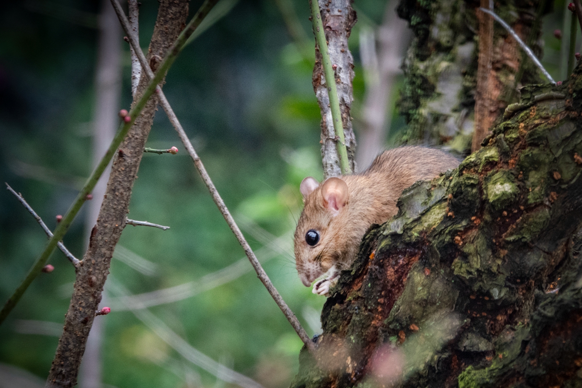 DSC04761-0 - 副本.jpg