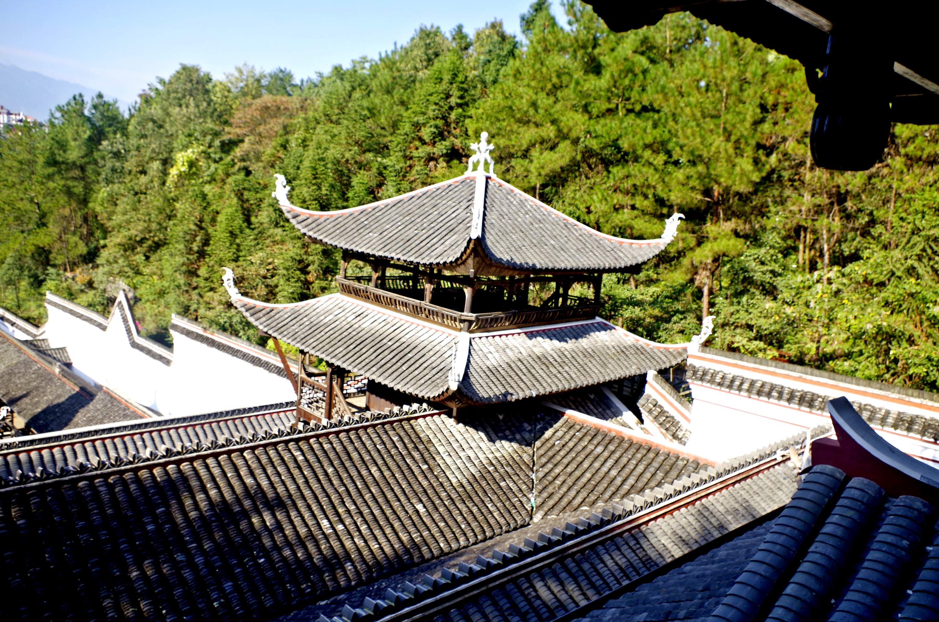 _IGP9582_副本.jpg